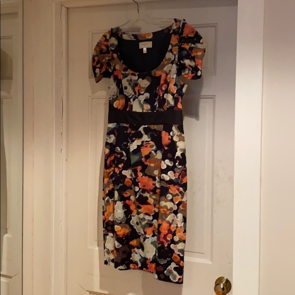 Anthropologie Dress (size 4)